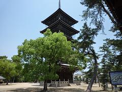 �P�ʎ�����