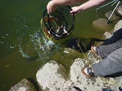 �L���b�`&�����[�X