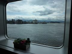 �����p���i